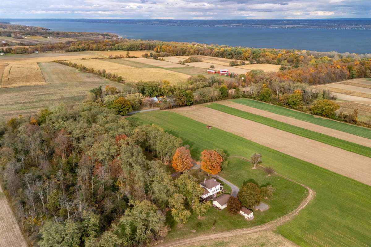 Endless farmland views stretch to the horizon — unwind in peace