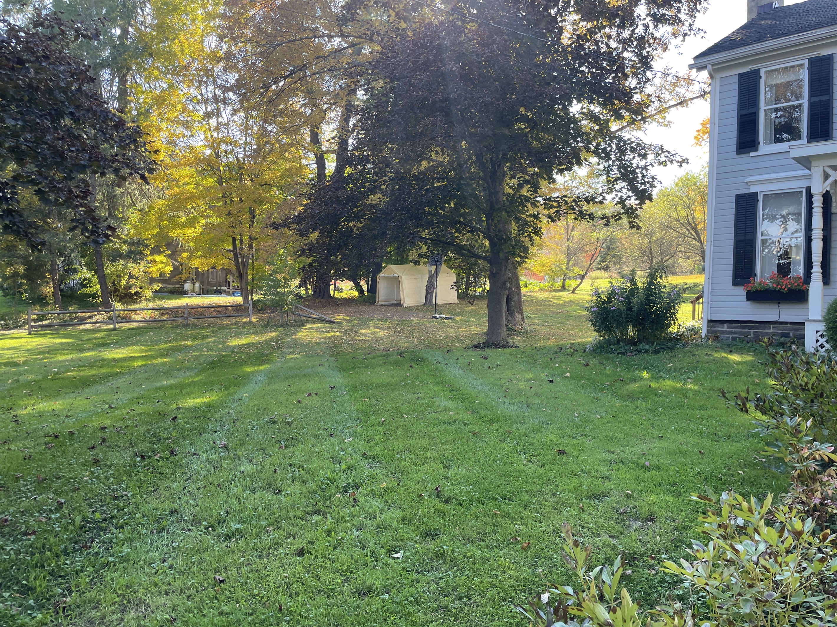 Applewood side yard