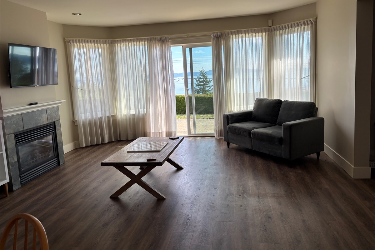 Living room and gas fireplace with views