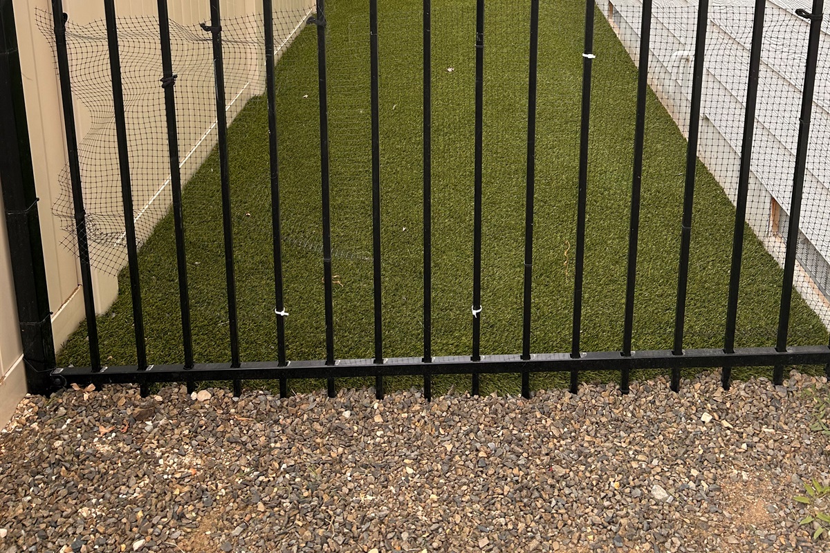 Small fenced yard with astroturf