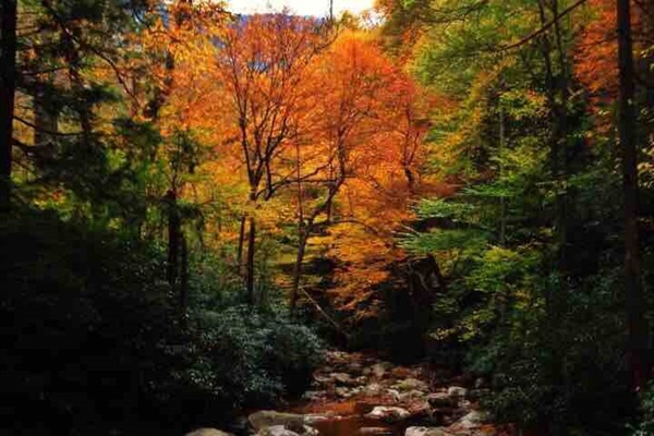 You really must experience fall in this region. It’s a beautiful sight to see! 