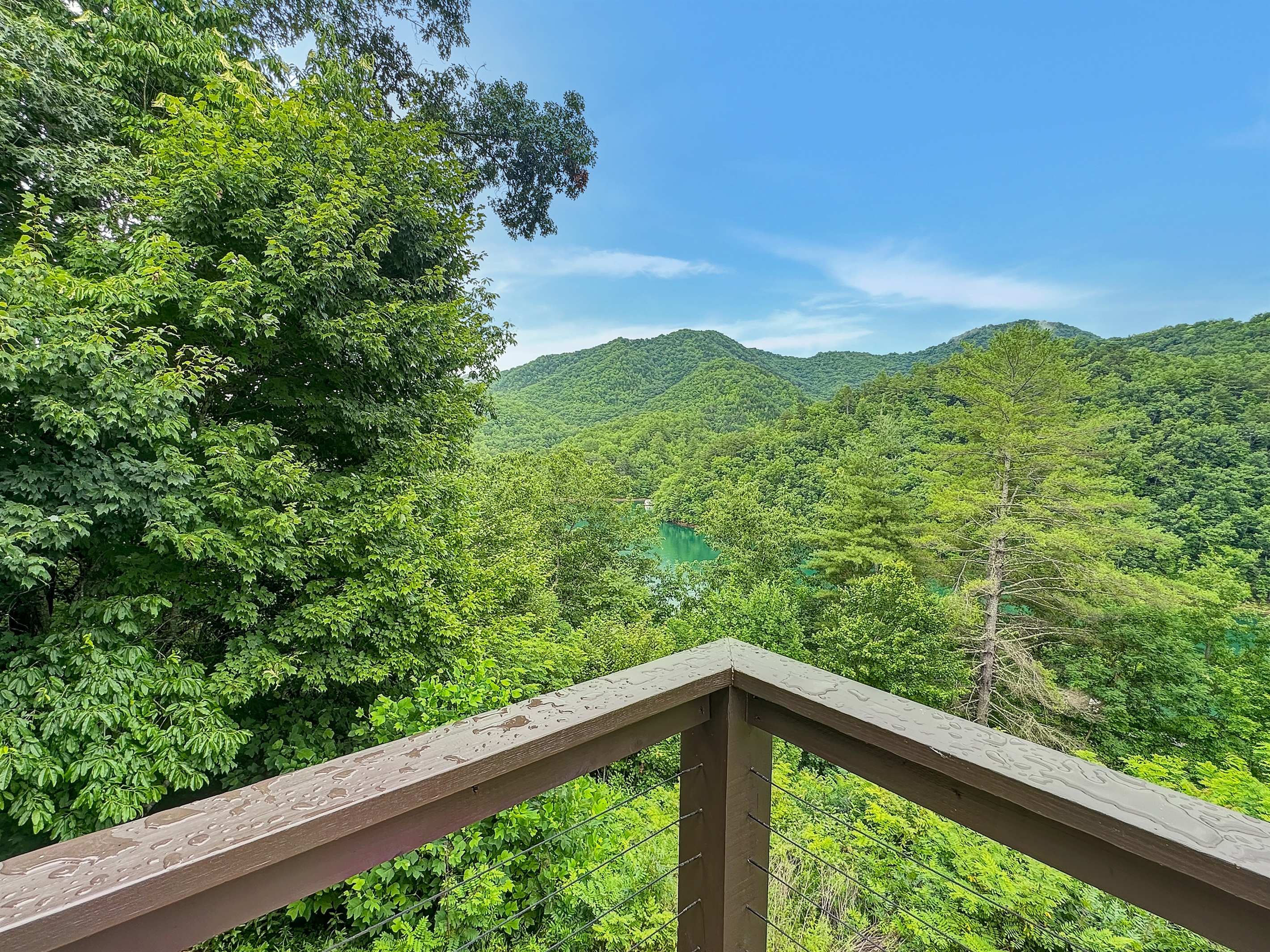 Scenic Viewpoint: Unwind on the deck with breathtaking mountain and lake views!