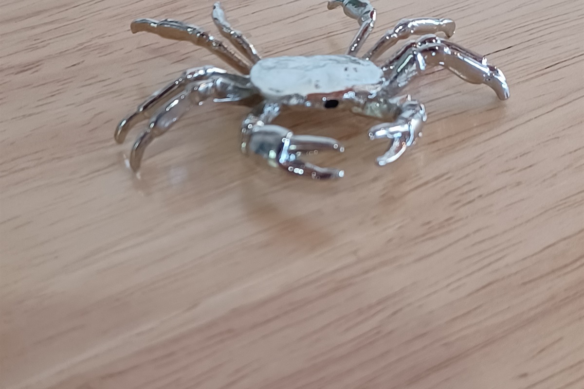 Seahorse decorations