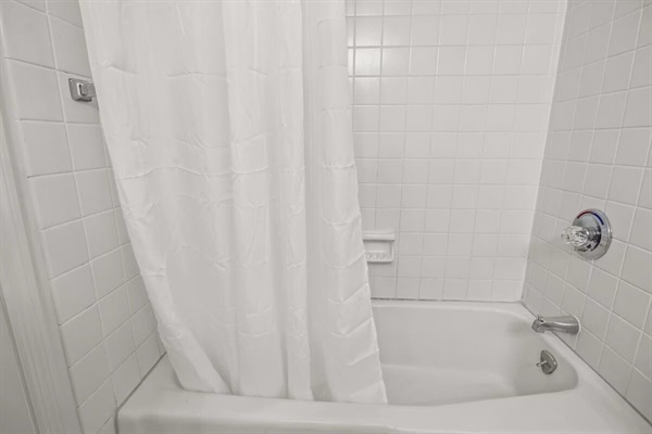 Shower/Tub combo in guest bathroom