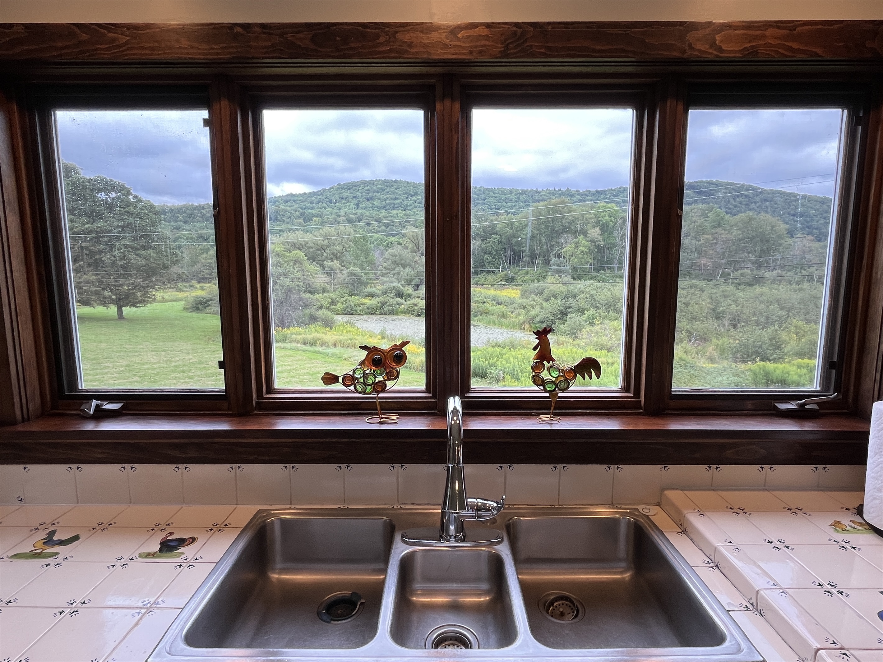 Cloverleaf Farm view of the red creek rolling hills right from the kitchen window.