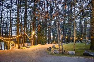 Sunset in the forest with light strings