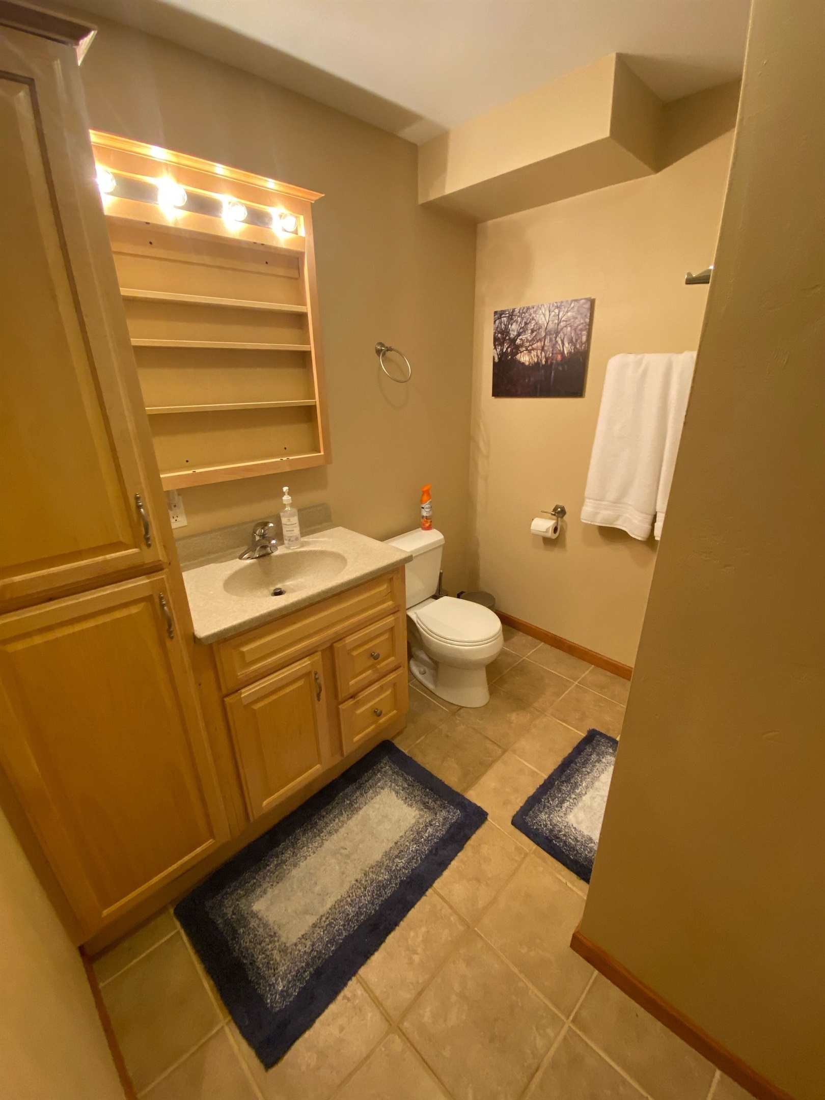 Downstairs Bathroom