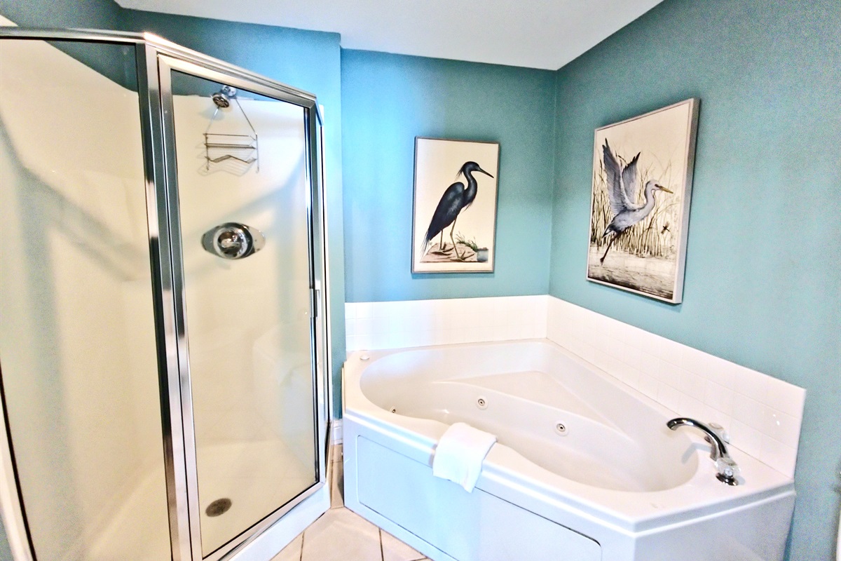 Main bath with separate shower and garden tub