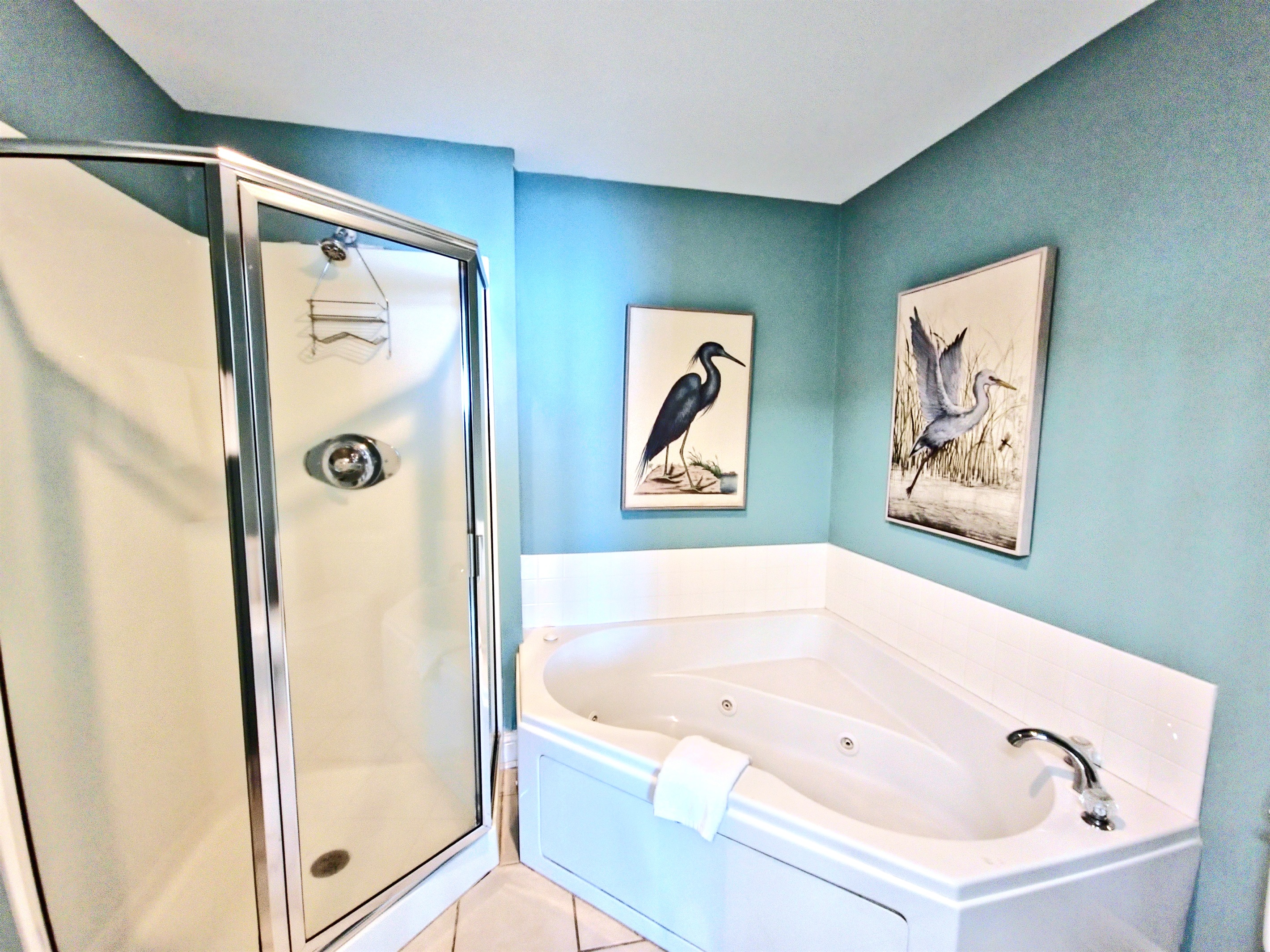 Main bath with separate shower and garden tub