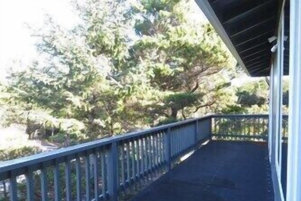 North balcony off living room