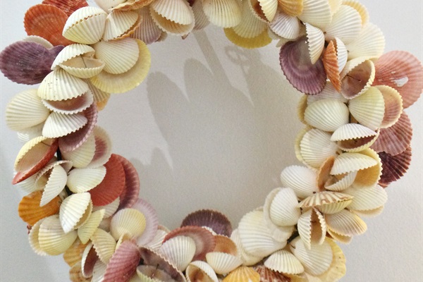 Shells!