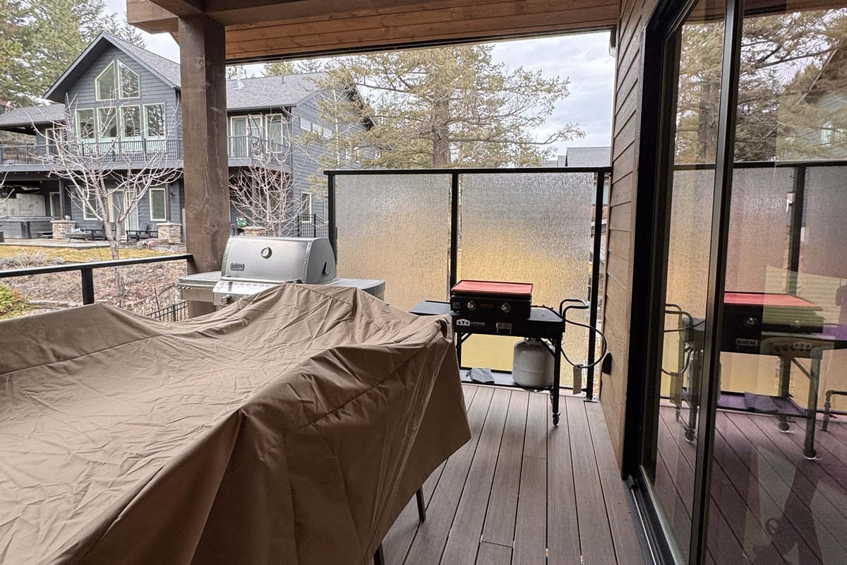 Back deck with a TV, heaters for the winter chill, fans for the summer heat, a bar-b-q, and a flat top!