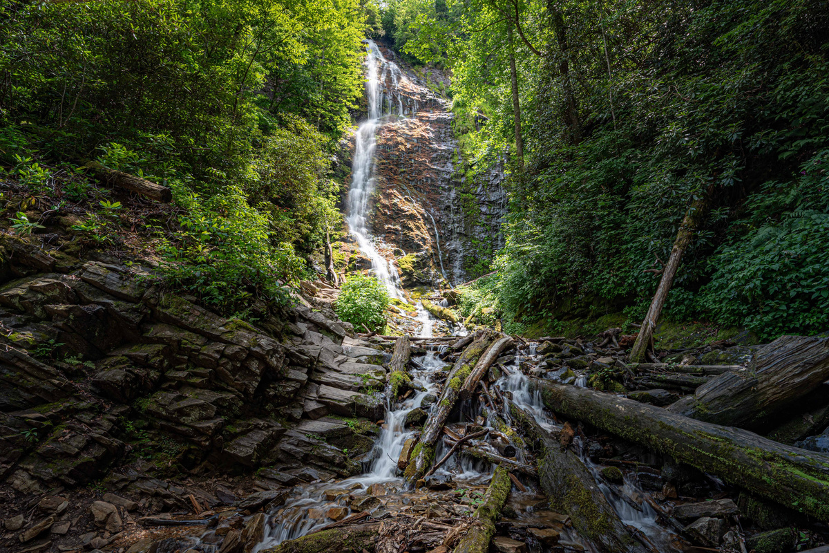 Nature's Paradise: Discover stunning waterfalls amidst lush greenery and tranquil sounds of nature!