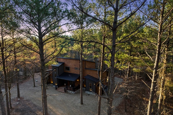 Modern cabin retreat tucked among towering pines for ultimate privacy and tranquility.
