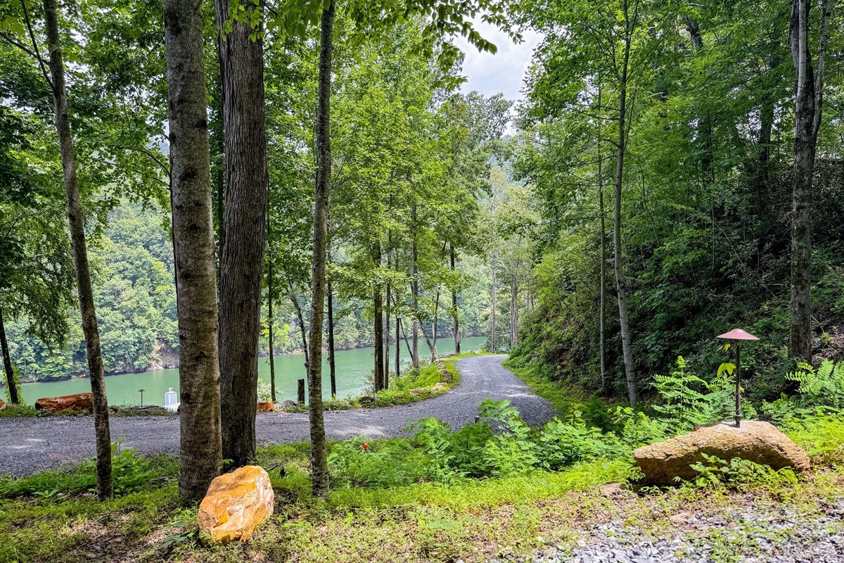 The driveway leading to the house