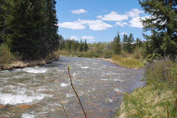 Picnic tables along the Snake River or bring your chairs