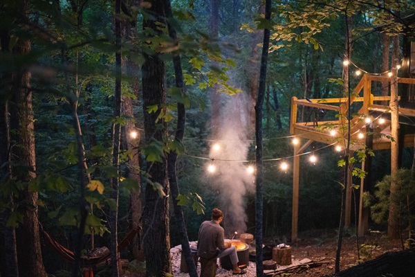 Roast marshmallows over the fire under the trees