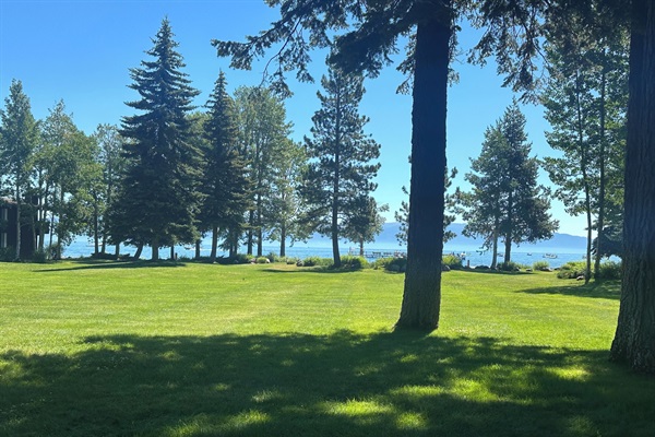Summer view from our house towards the lake