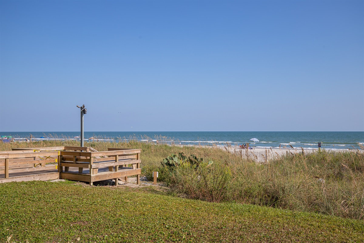 Beach Dunes