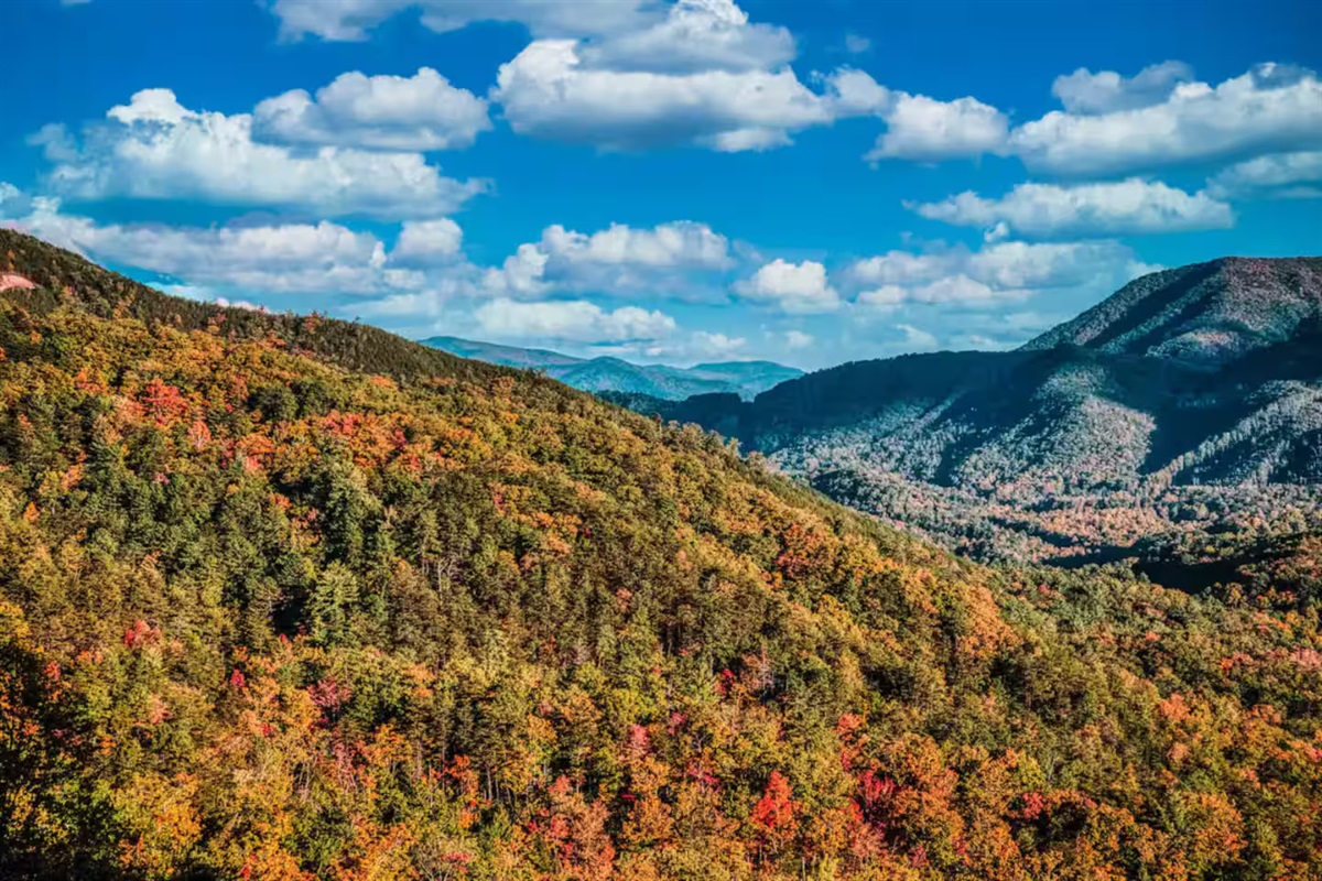 Fall in the Smoky Mountains