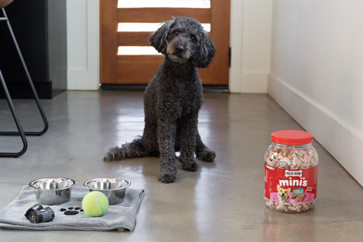 {Pet Friendly} We love hosting pups—complete with treats, toys, and cleanup bags. A pet fee applies to keep the home pristine for all guests