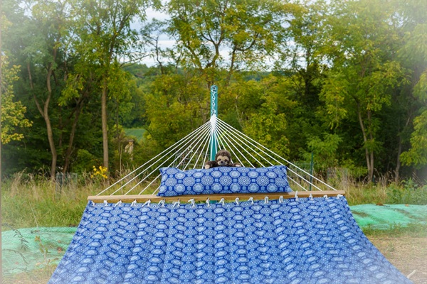 This is the hammock set up overlooking the West, with a view to the Chesapeake & Ohio Canal National Park on the Potomac River.
Our little pal Sasquatch the Sloth loves a nap there!