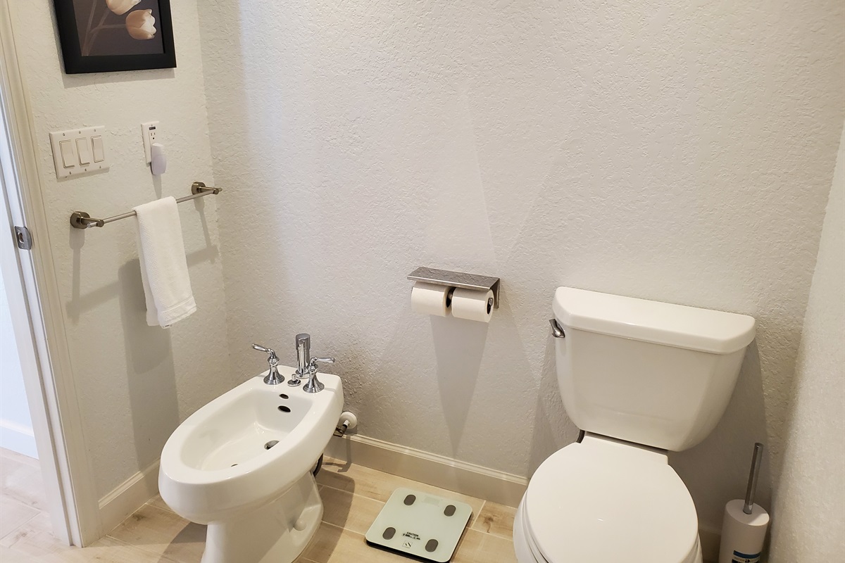 Master full bathroom with bidet, toilet and walk in shower
