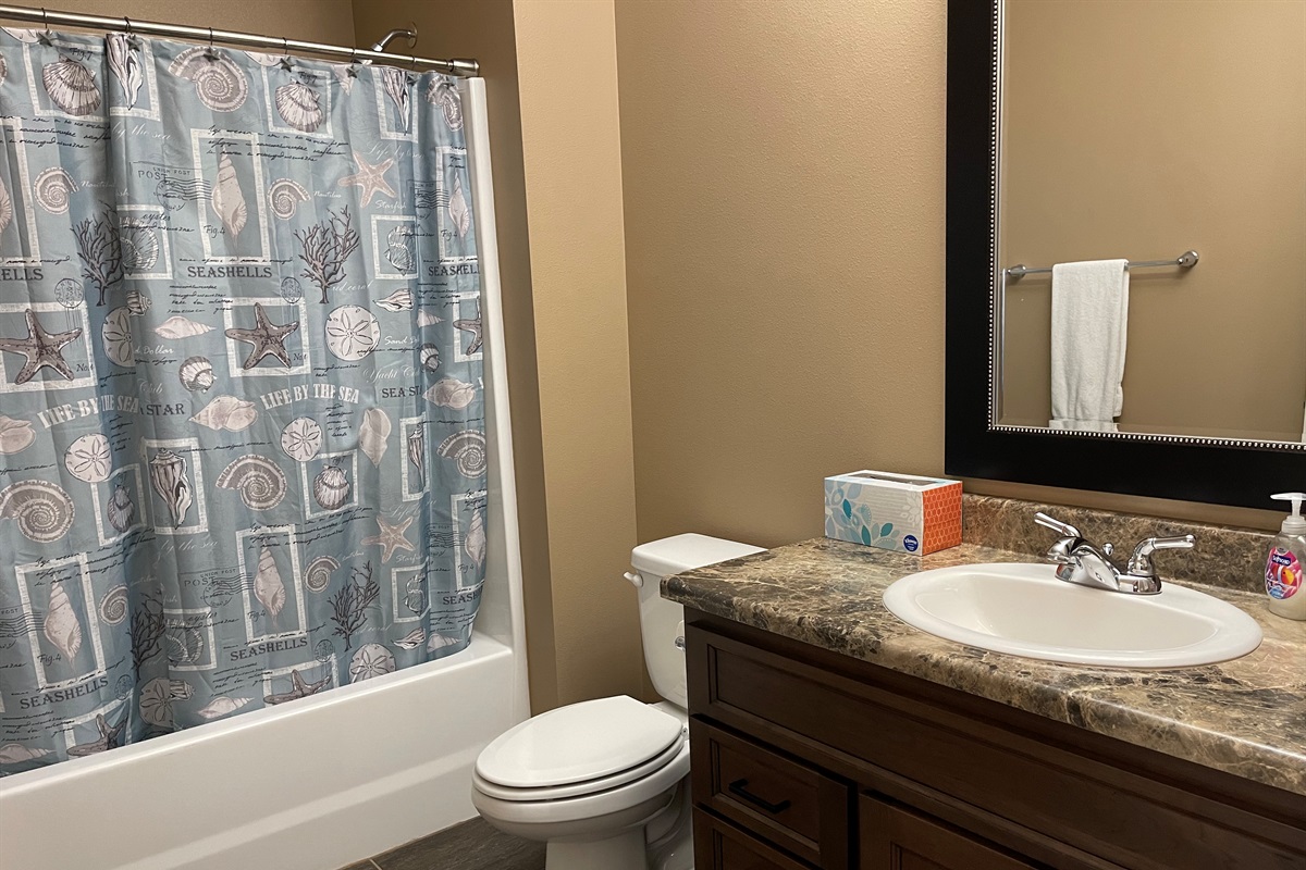 Guest bathroom