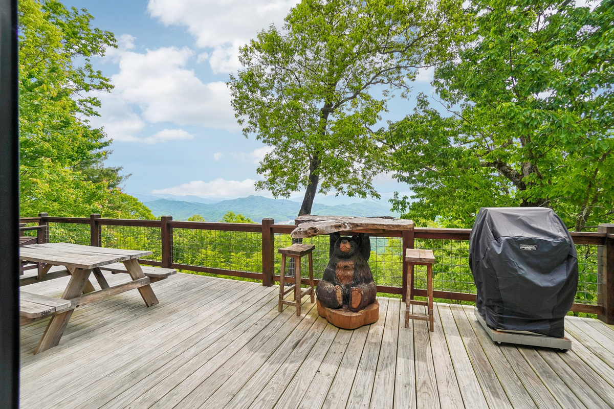 Outdoor Seating and gas grill