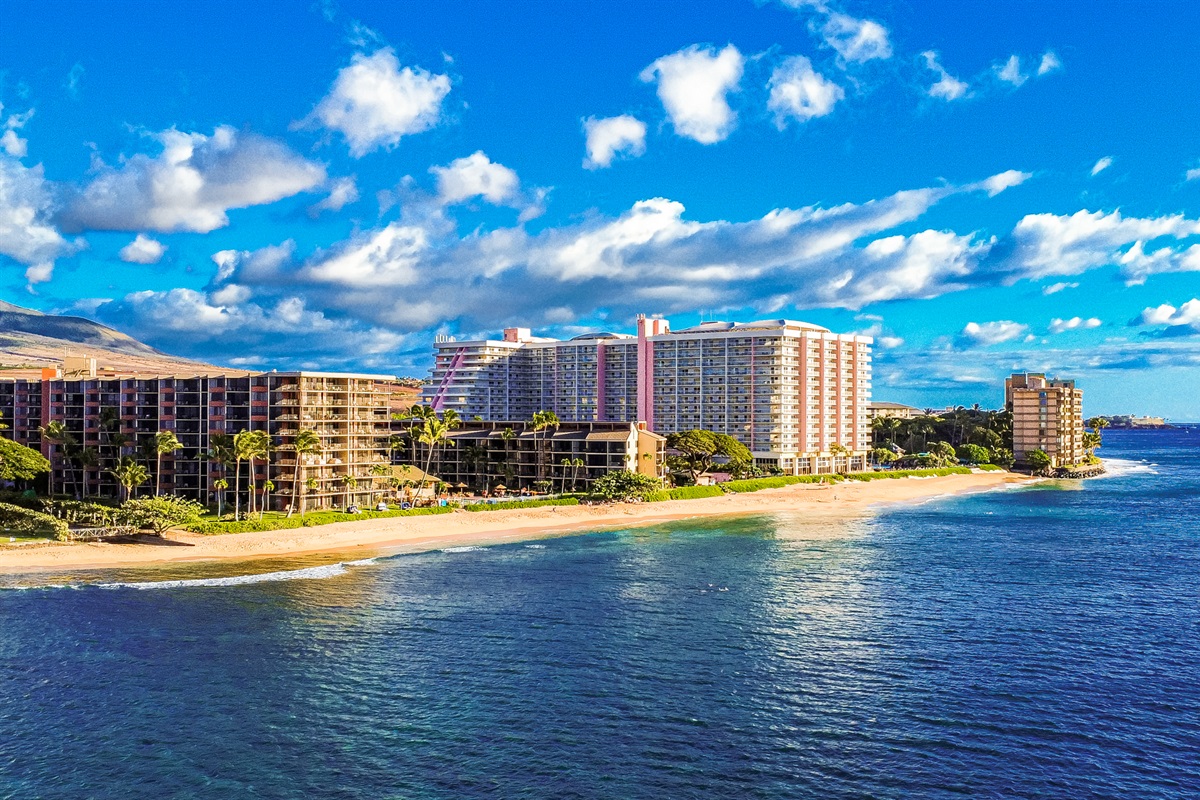 Surf, Sand, and Resort Skyline