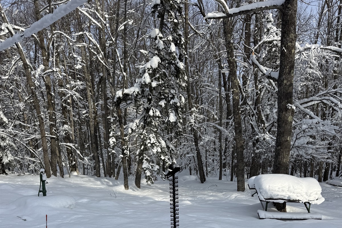 Snow Depth Marker