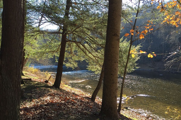 the river in early autumn