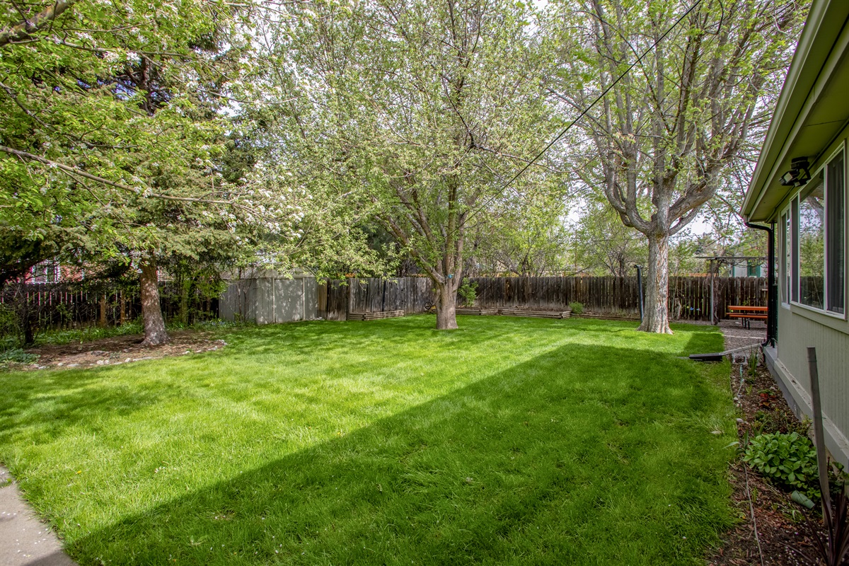 Mature trees, in this backyard, provide a beautiful oasis that guests can enjoy with family and friends or co-workers.