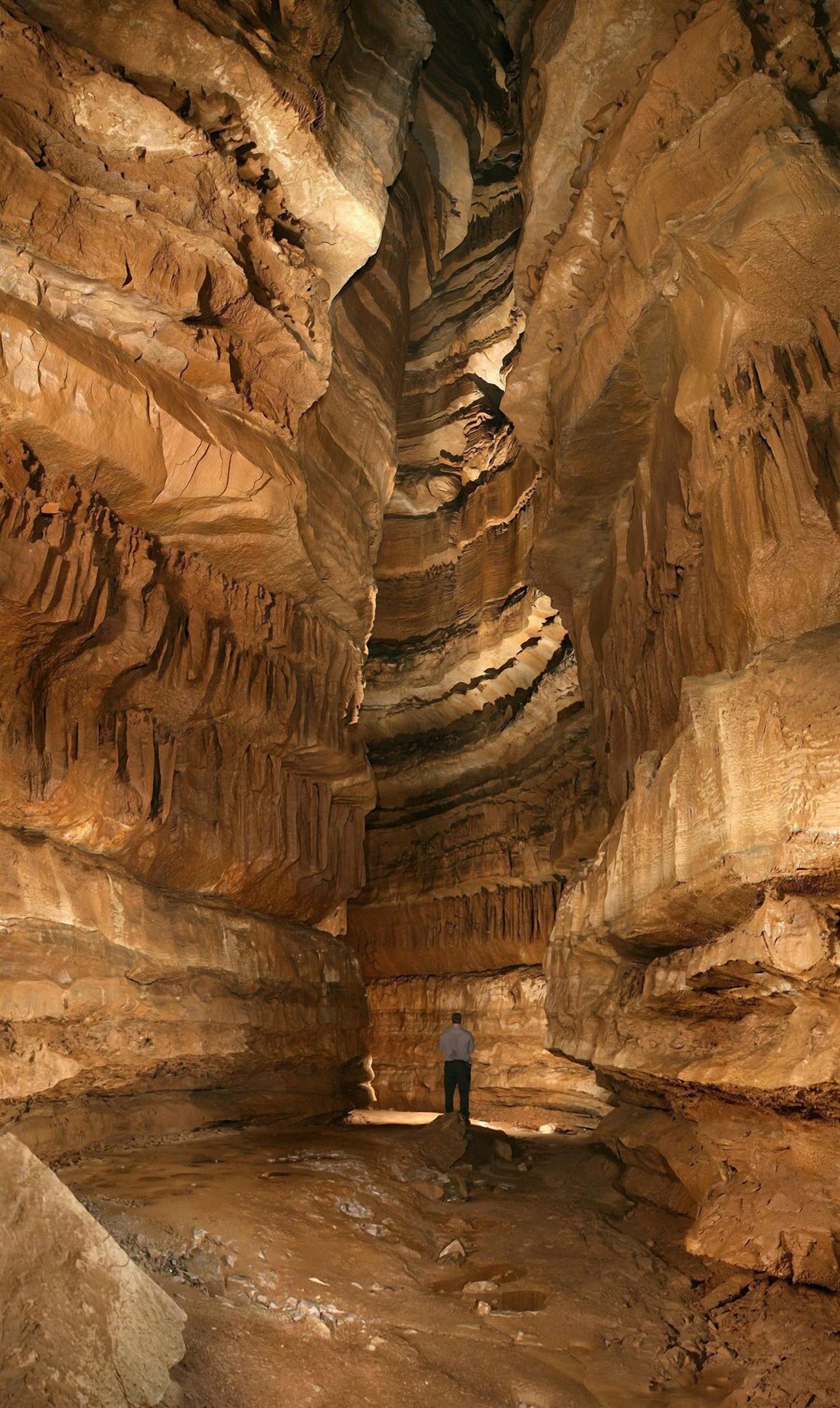 Local Mammoth Cave NP