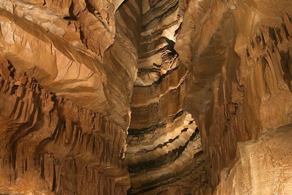 Local Mammoth Cave NP