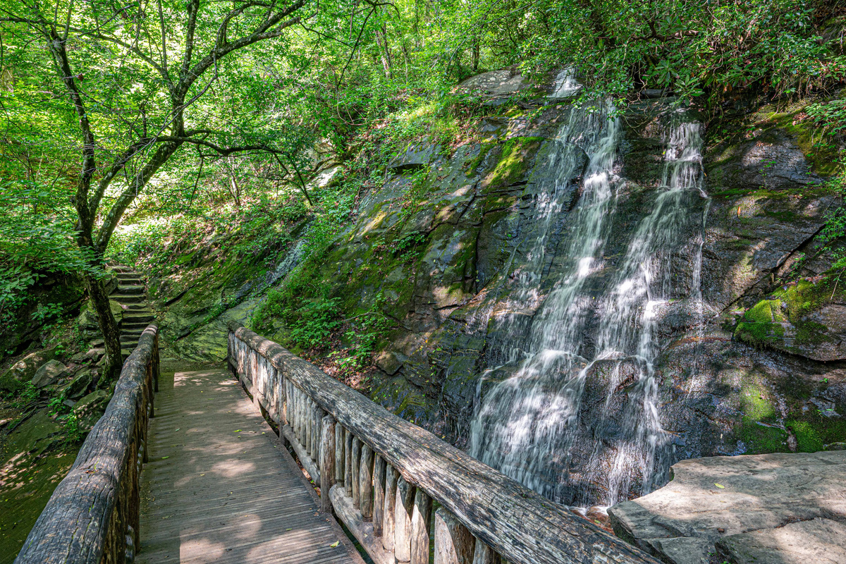 Nature Escape: Stroll along enchanting paths and listen to the soothing waterfall nearby!