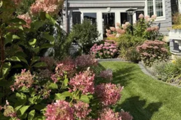 A little garden moment right outside the home.