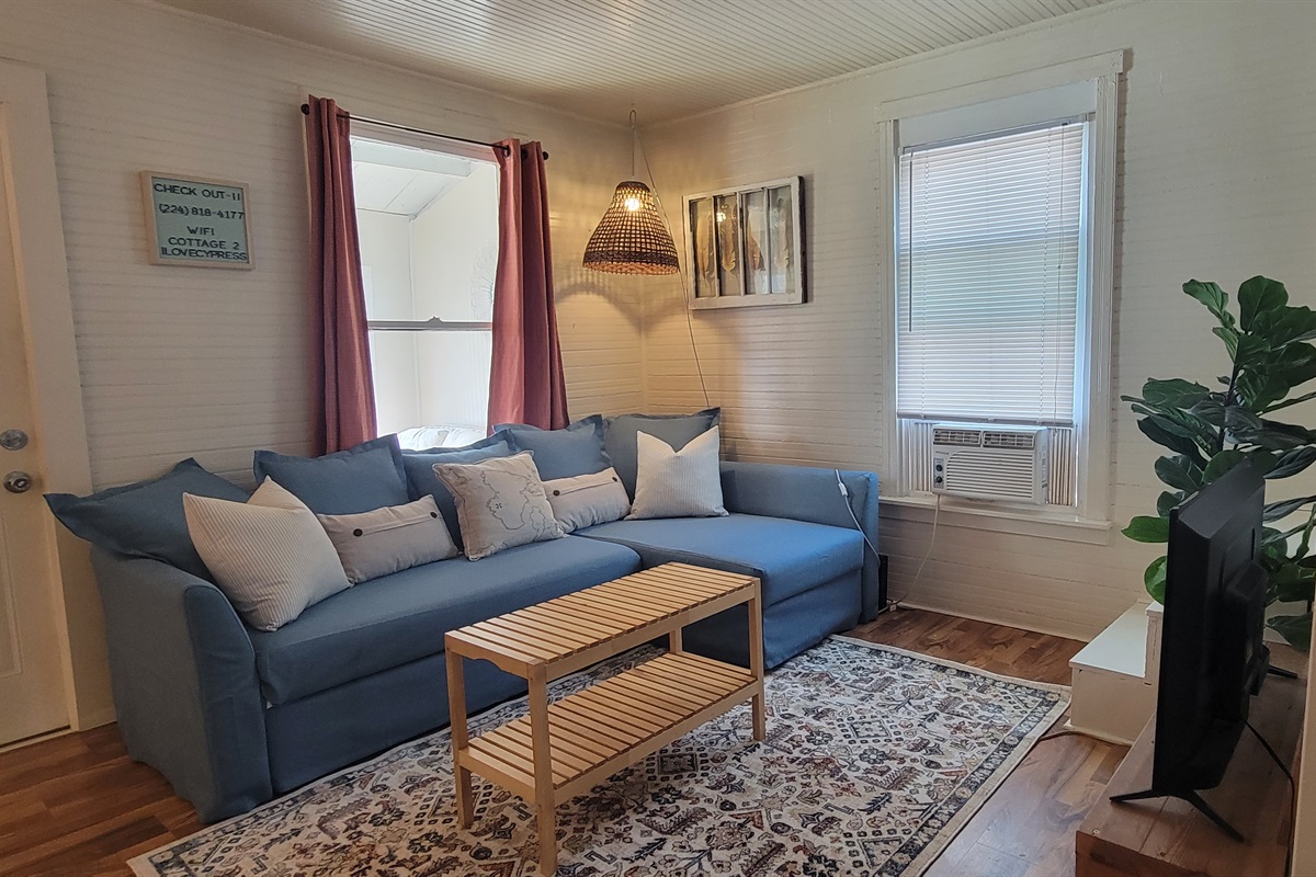 Living room Queen Sleeper