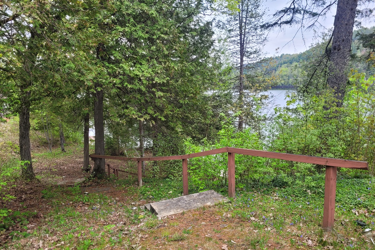 Down to the lake from the cottage