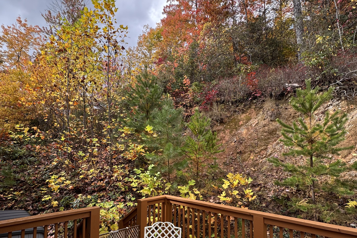 Fall in the Smokeys