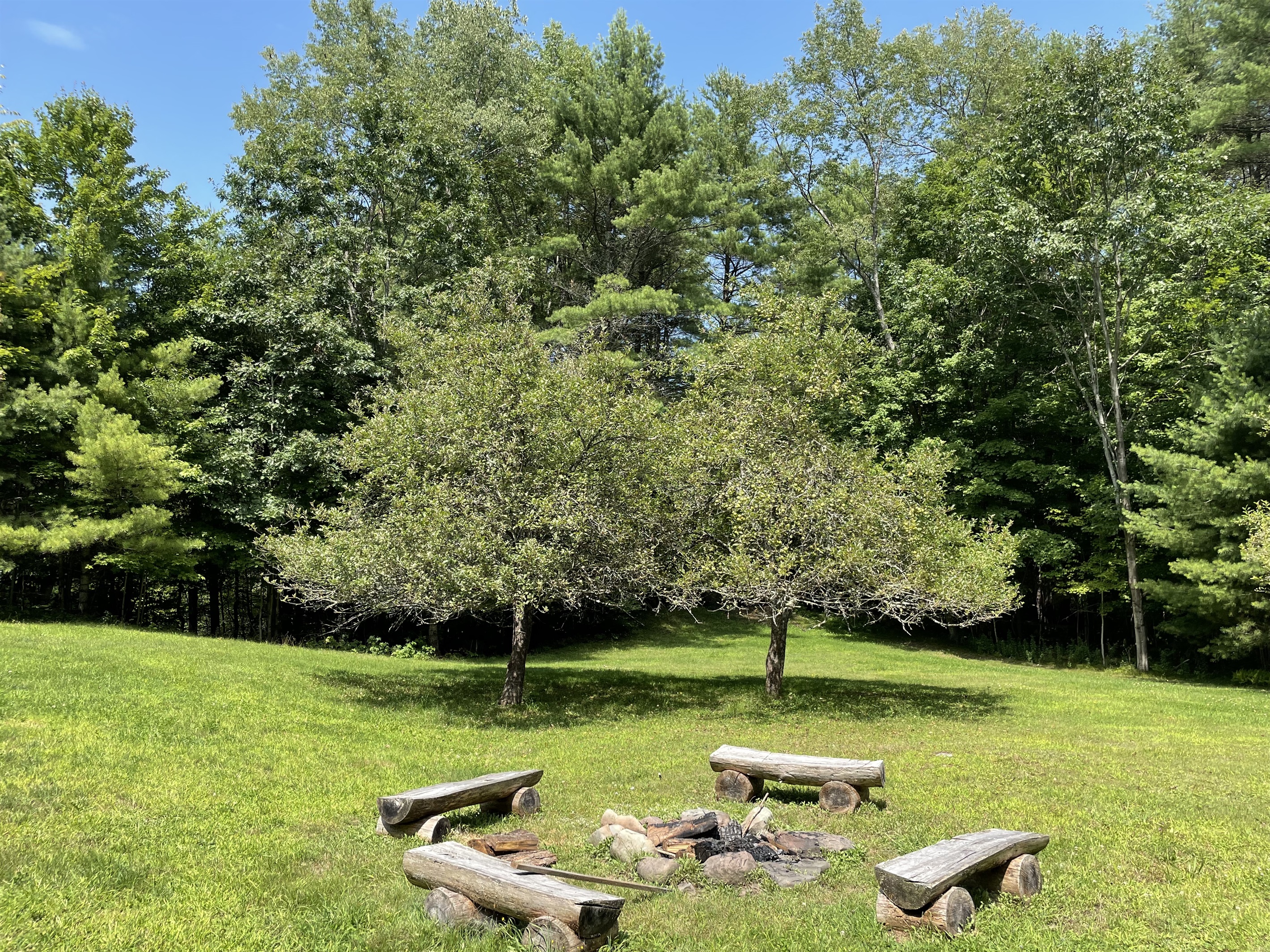 Fire pit in the backyard