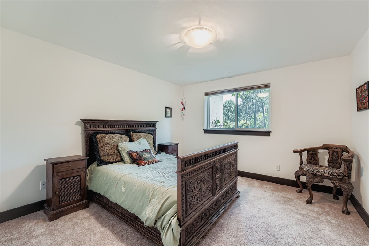Lower Level bedroom #2