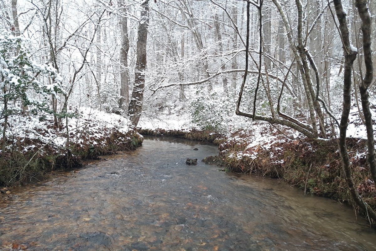 Beautiful shot of the creek