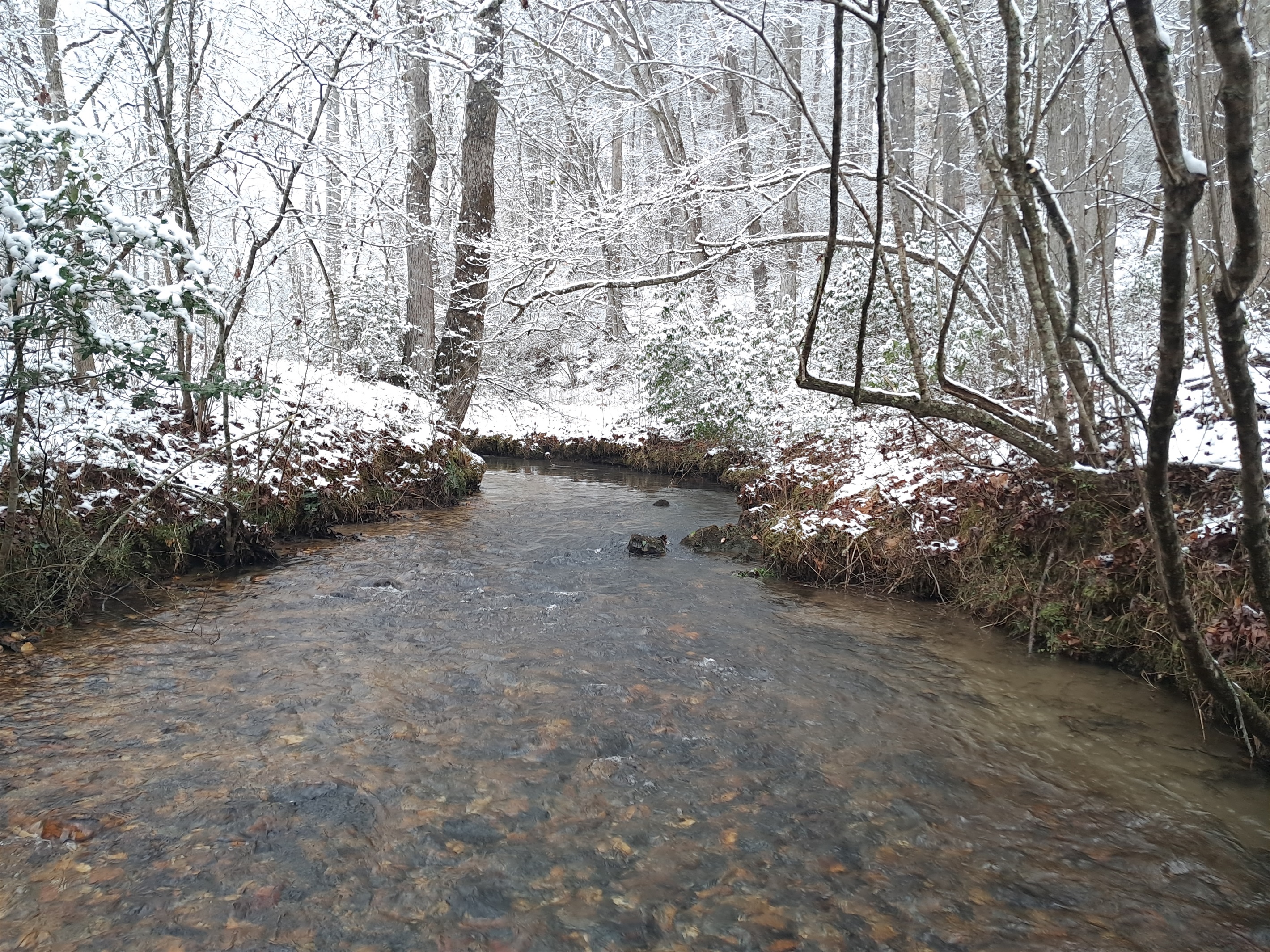 Beautiful shot of the creek