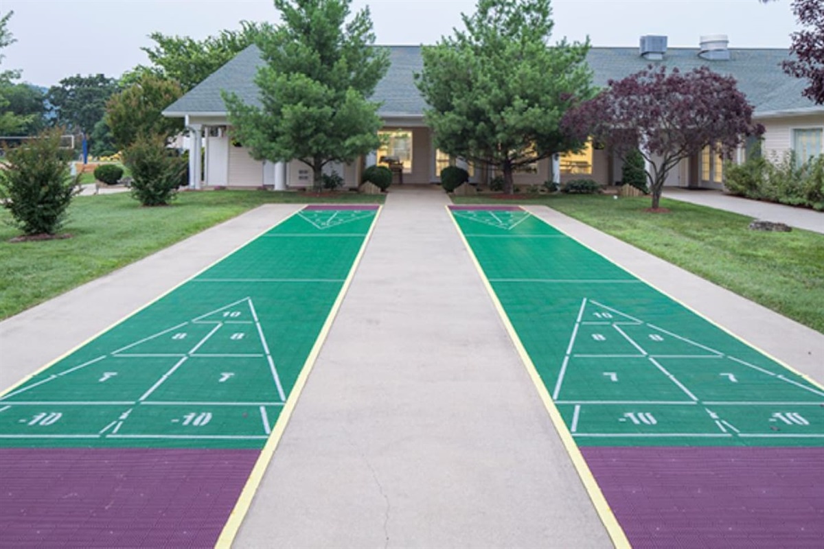 Shuffleboard