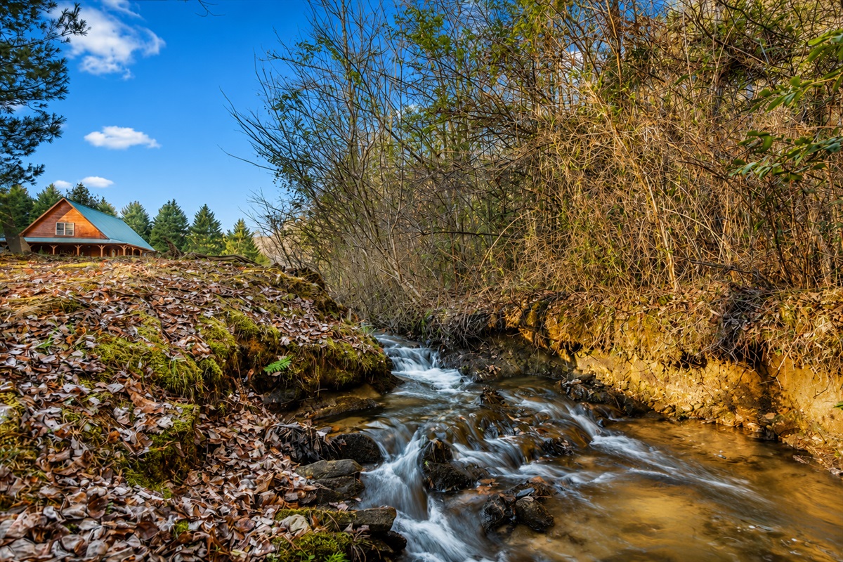 Coopers Creek located steps away from T&T II cabin!!