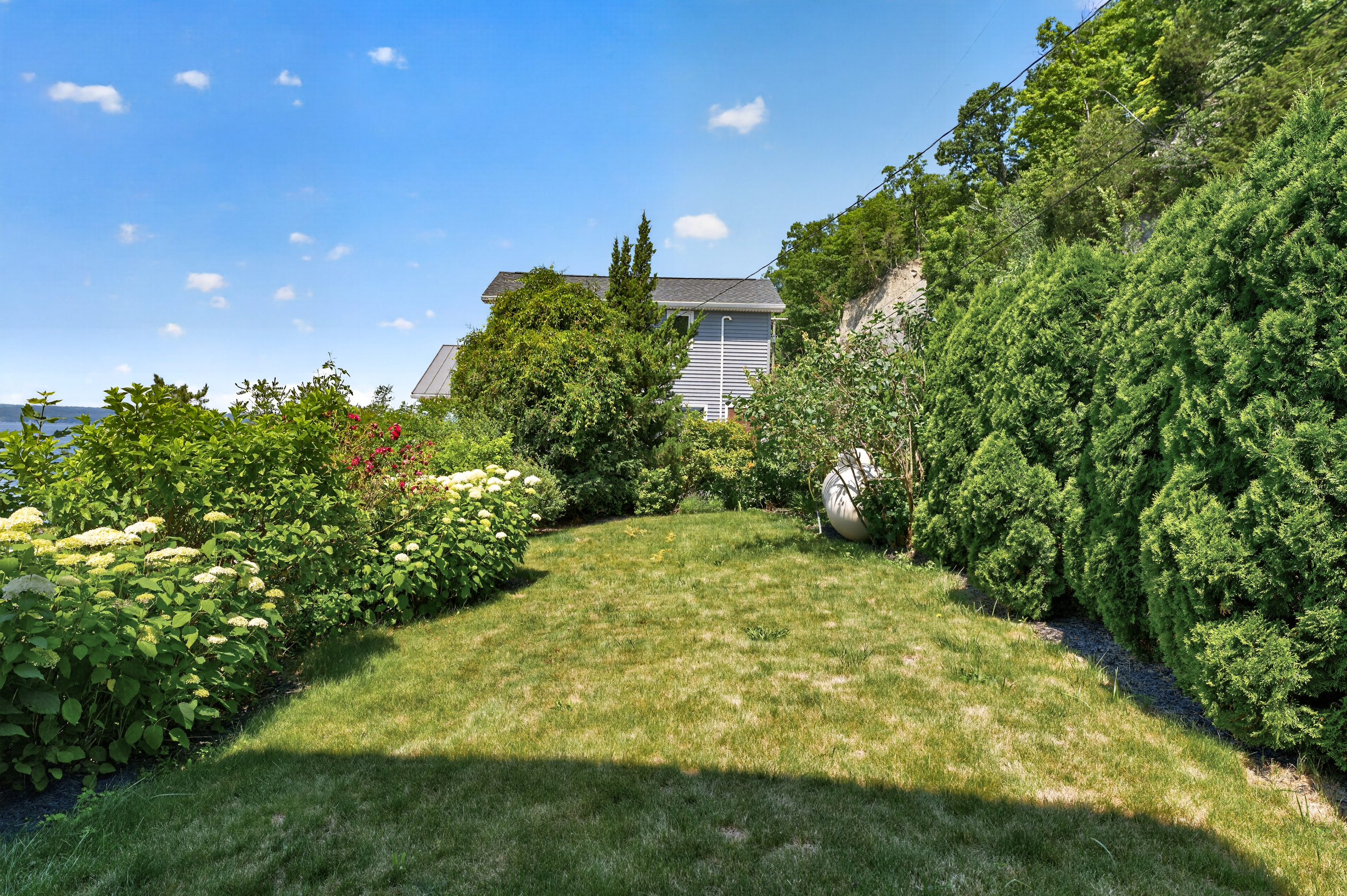 Side yard bordered by shrubs and trees