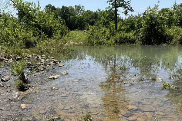 Clear water and rocky riverbed next to the large pooling area—natural and peaceful (May 2025).