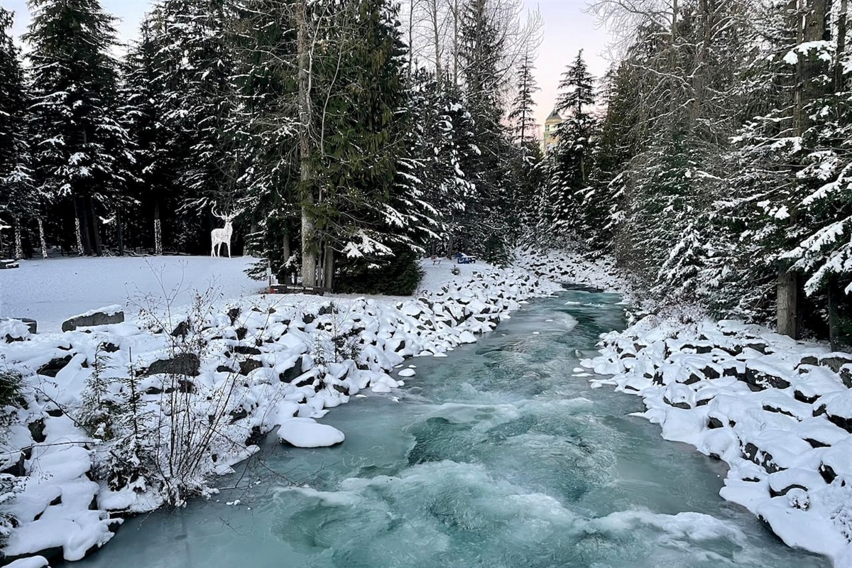 Rebagliati park is tucked in beside the covered bridge between the Upper and Lower Village and bordered by Fitzsimmons Creek.  The covered bridge is less than 100 metres from Best Whistler Rentals. This is literally your back yard.