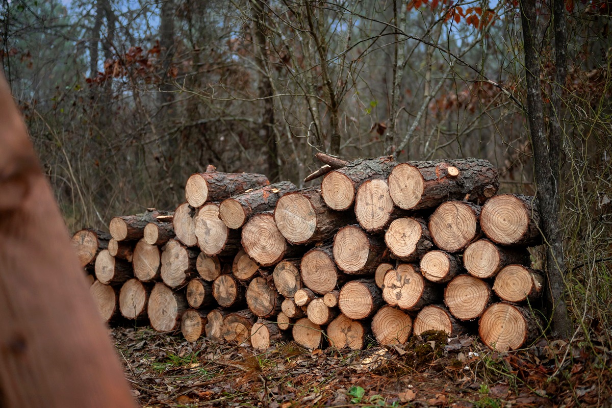 Fire wood for fire pit provided on site